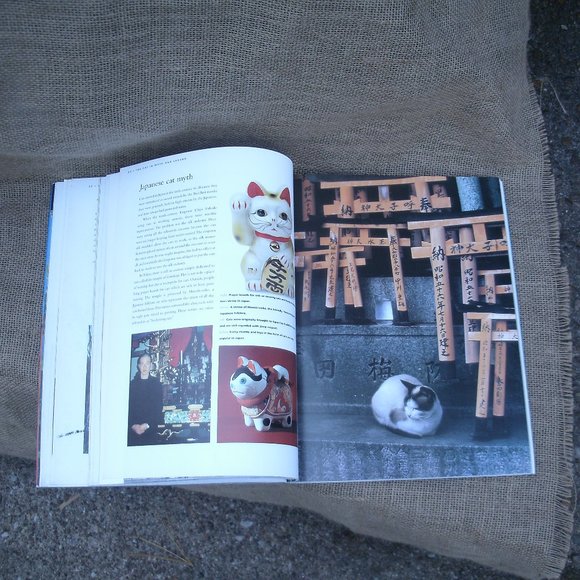 The Kingdom of the Cat by Roni Jay - Picture 10 of 16